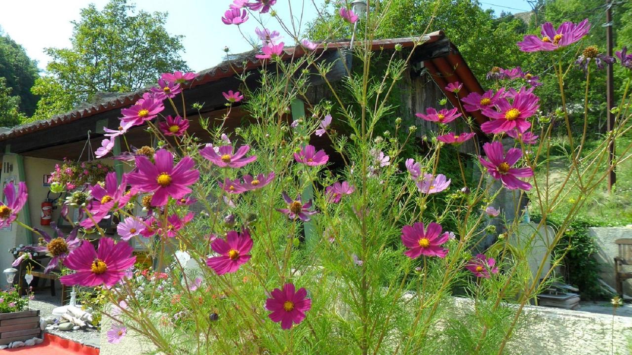 Camping Panoramique Du Verdon 카스텔란 외부 사진