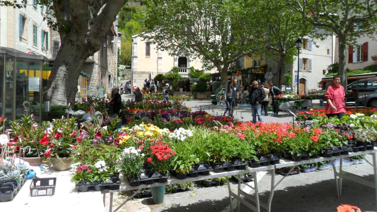 Camping Panoramique Du Verdon 카스텔란 외부 사진